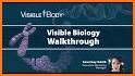 Visible Biology related image