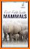 Stuarts’ African Mammals related image