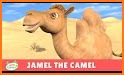 The Camel related image