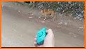 Ultrasonic Dog Repellent Sound Pro related image