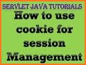 Cookie Management related image