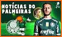 Palmeiras Oficial related image