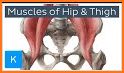 Clinical Pattern Recognition: Hip/Thigh Pain related image