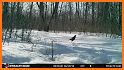 Snows & Crows Pro related image