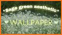 Sage Green Aesthetic Wallpaper related image