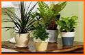 Consejos de cómo Cuidar Plantas y Jardines related image