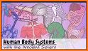 Human Body Systems for Boys：kids learn biology related image