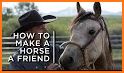 Horse Care and Riding related image