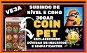 Coin Pet related image