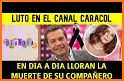 Canales de Colombia TV 2021 related image