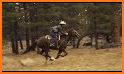 Horse Ride Music Gallop related image