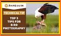 Wild Animal Photo Editor 2020: Animal Photo Frames related image