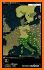 Age of Civilizations Euro Lite related image