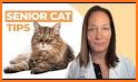 Cat Care related image