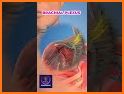 Plexus MBBS PRO related image