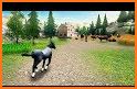 Horse Stable: Herd Care Simulator related image