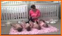 Newborn Baby Triplets: Mommy Care Nursery related image