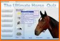 Horse Quiz: Equine Trivia Game related image