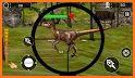 Dino Hunting Quest Animal Game related image