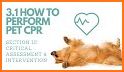 CPR Fort Collins Pet Shop & Pet CPR Course related image