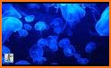 bubble for JELLYFISH related image