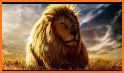 Roaring Lion Live Wallpaper related image