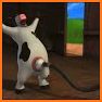 Booba jumping ninja related image