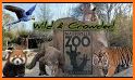 Nashville Zoo related image