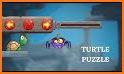 Turtle Puzzle: Brain Puzzle Games related image