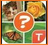 Word Tango : Find the words related image