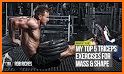 Triceps Workout Exercises related image