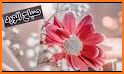 ملصقات صباح و مساء الخير WAStickerApps 2020 related image