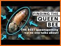 Bee Queen Detector related image