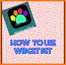 WidgetPet Guide related image