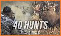 Hunt Wild Deer Shooting Game related image