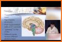 Neuroanatomy, 5th Edition related image