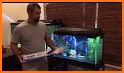 Magic Aquarium - Fish World related image