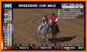 Horse Racing Championship 2018: Online Jockey Race related image
