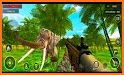 Wild Jungle Animal Hunter: Safari Hunting Games related image