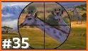 Classic Deer Hunting Game 2018 related image