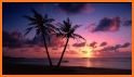 Sunset Beach Live Wallpaper related image