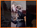 Petco: Better Together related image
