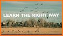 Duck hunting calls:  Waterfowl hunting sounds. HIT related image