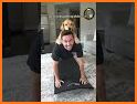 Golden Retriever Simulator related image