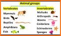 Parts of Animals (Vertebrates) related image