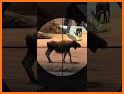 Deer Hunt 3D - Classic FPS Hunting Game related image