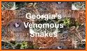 Snakes of the Southeast related image