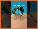 Absurd Black Ant Escape - JRK Games related image
