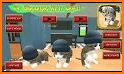 Cat Simulator : Kitty Craft related image