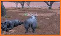 Ultimate Rhino Simulator related image
